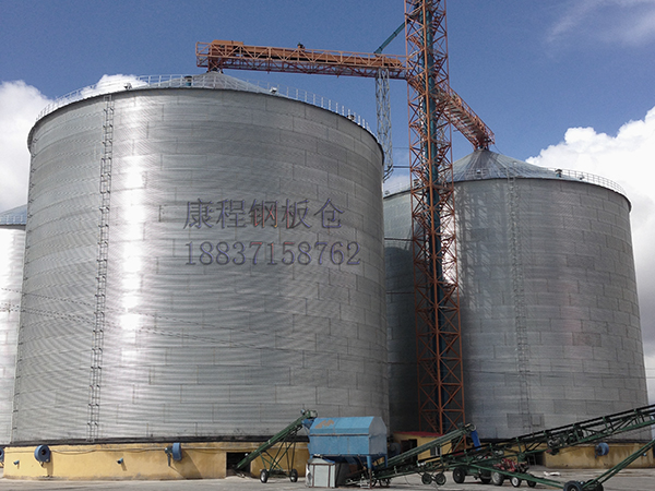 Urumqi Agricultural Development 2-10,000 tons
